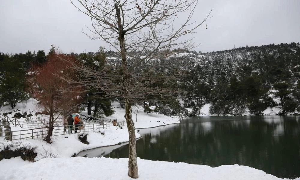 Ήλιος με... δόντια – Πολικές θερμοκρασίες και ολικός παγετός